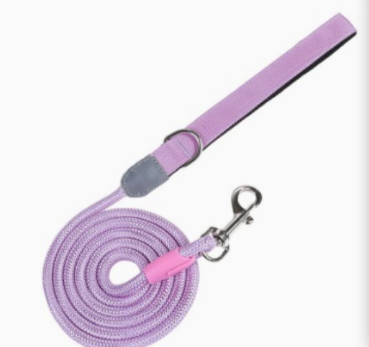 Matching Color 1.5M Dog Leash