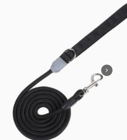 Matching Color 1.5M Dog Leash