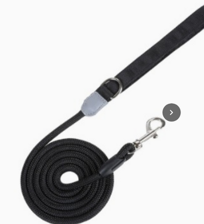 Matching Color 1.5M Dog Leash